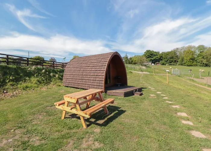 Tatil Evi Deer Pod *