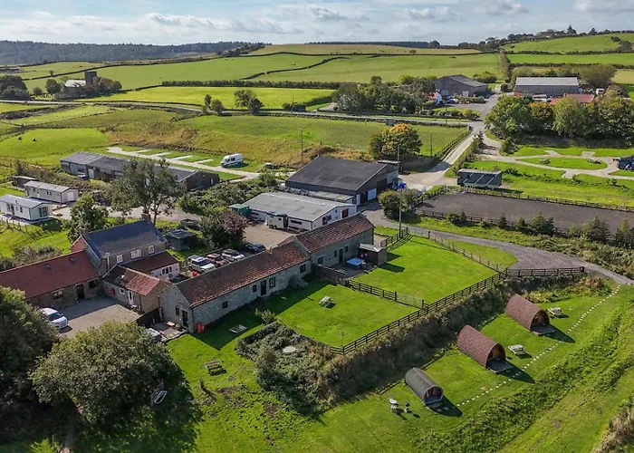 Deer Pod Scarborough