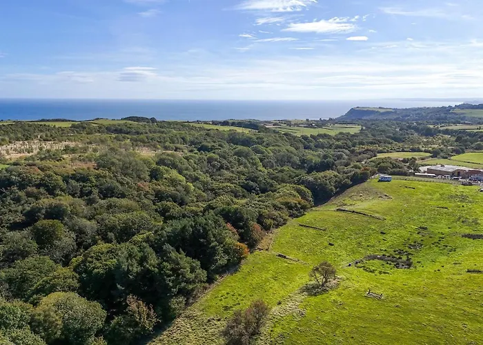 Deer Pod Tatil Evi *