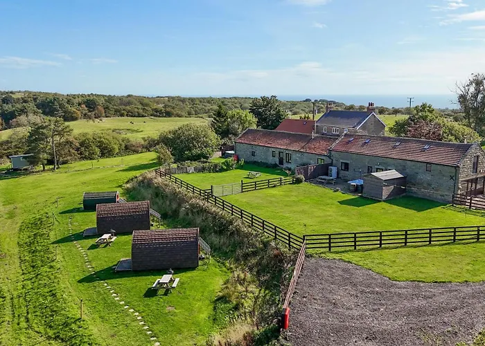 Deer Pod Scarborough