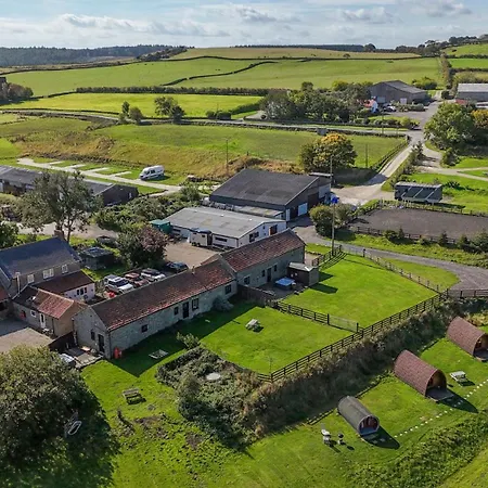 Deer Pod Scarborough