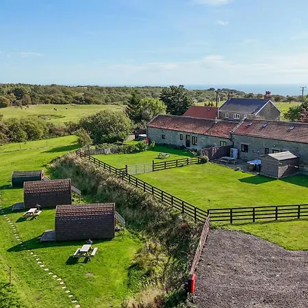 Deer Pod Scarborough